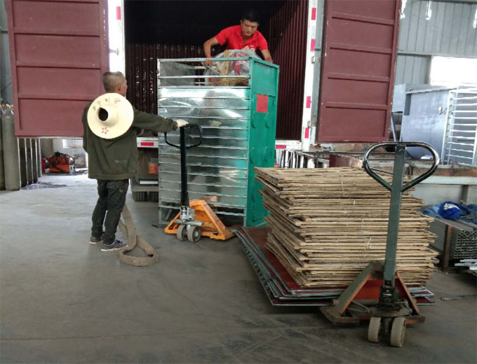 食用菌采收技能你知道多少？逸村機(jī)械為您盤點(diǎn)整合