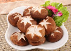 隨州食用菌出口增長34%